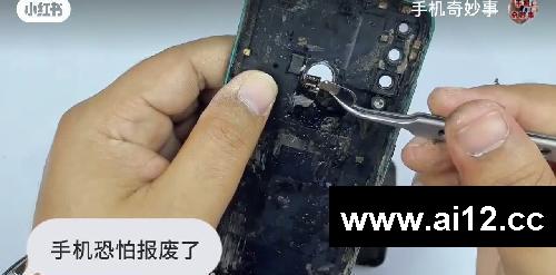 手机长出豆芽,修复过程很解压