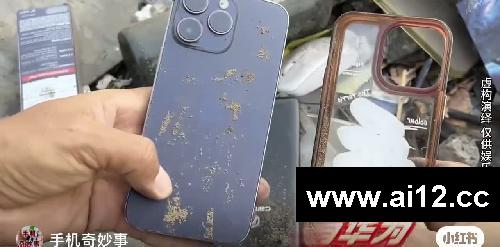 在*堆发现废旧手机,不仅有苹果还有华为