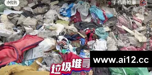 在*堆发现废旧手机,不仅有苹果还有华为
