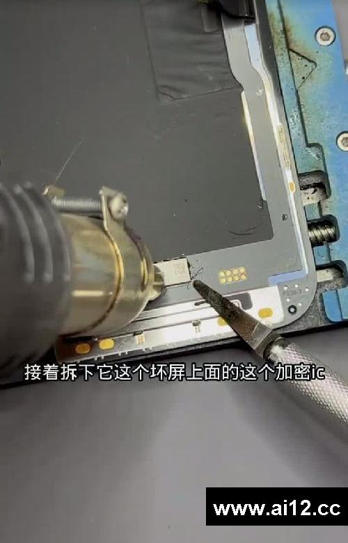 一把游戏过后直接损失3000!。。