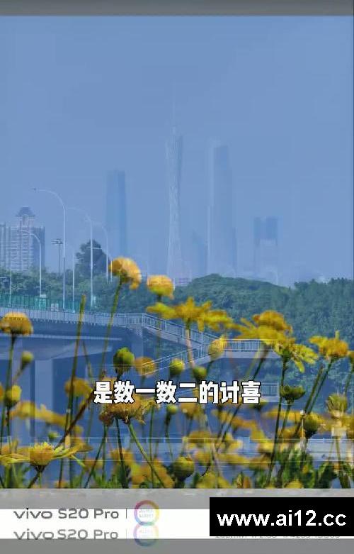vivo选手机，看好这四台不会出错！
